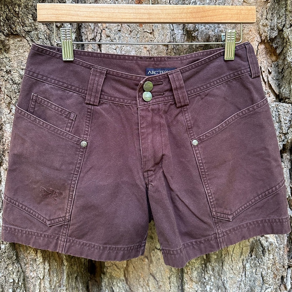 Arc’teryx Cargos in Eggplant